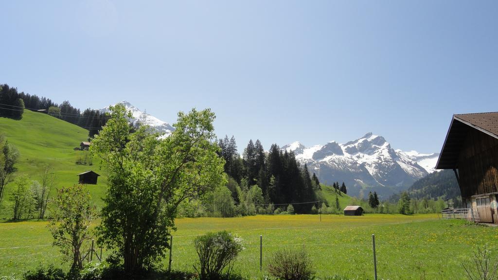 Casa Antica Lejlighed Gstaad Eksteriør billede